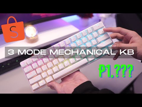 LANGTU G1000 | BEST BUDGET WIRELESS MECHANICAL KEYBOARD?