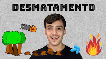 Como desmatamento das margens dos cursos fluviais interferem nesse contexto?