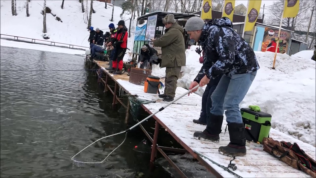 Клев форели на платниках