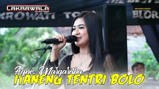 ITANENG TENTRI BOLO - AGNES MARGARETHA // CAKRAWALA JANDUT LIVE PURWOKERTO - KAYEN