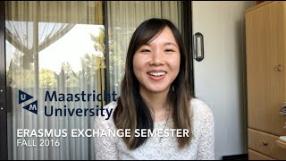 What an exchange semester at Maastricht University looks like