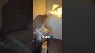 Is This A Predator Or A Literal Victim Of Gaslighting