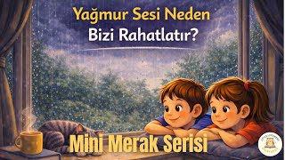 Yağmur Sesi Neden Bizi Rahatlatır? Mini Merak