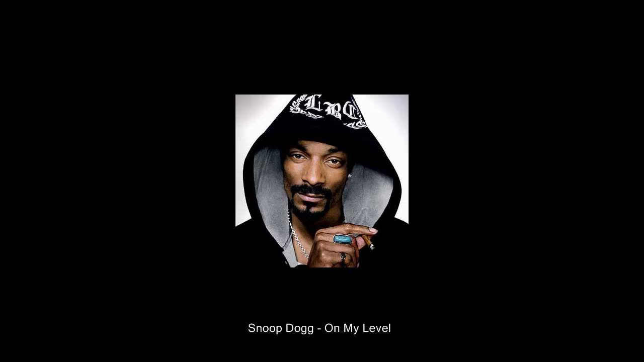 Snoop dogg fly high