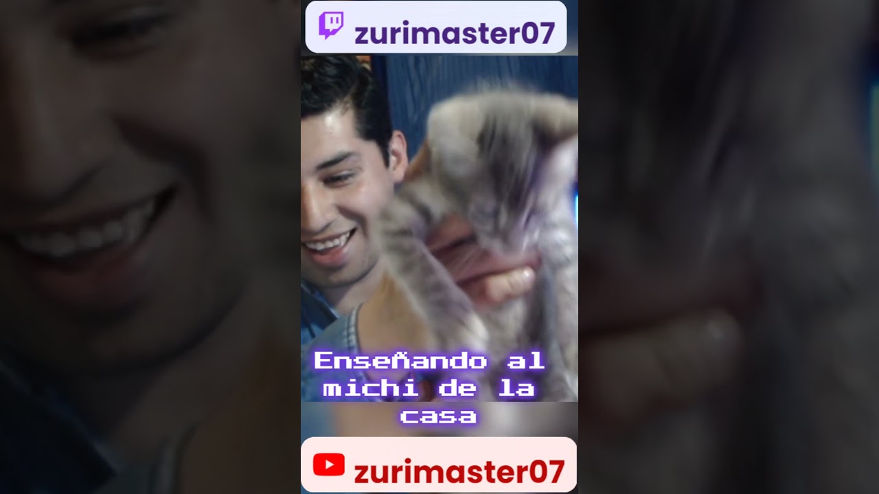 MOSTRANDO A UN FELINO 