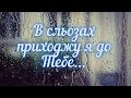 В сльозах приходжу я до Тебе... (пісня для душі)