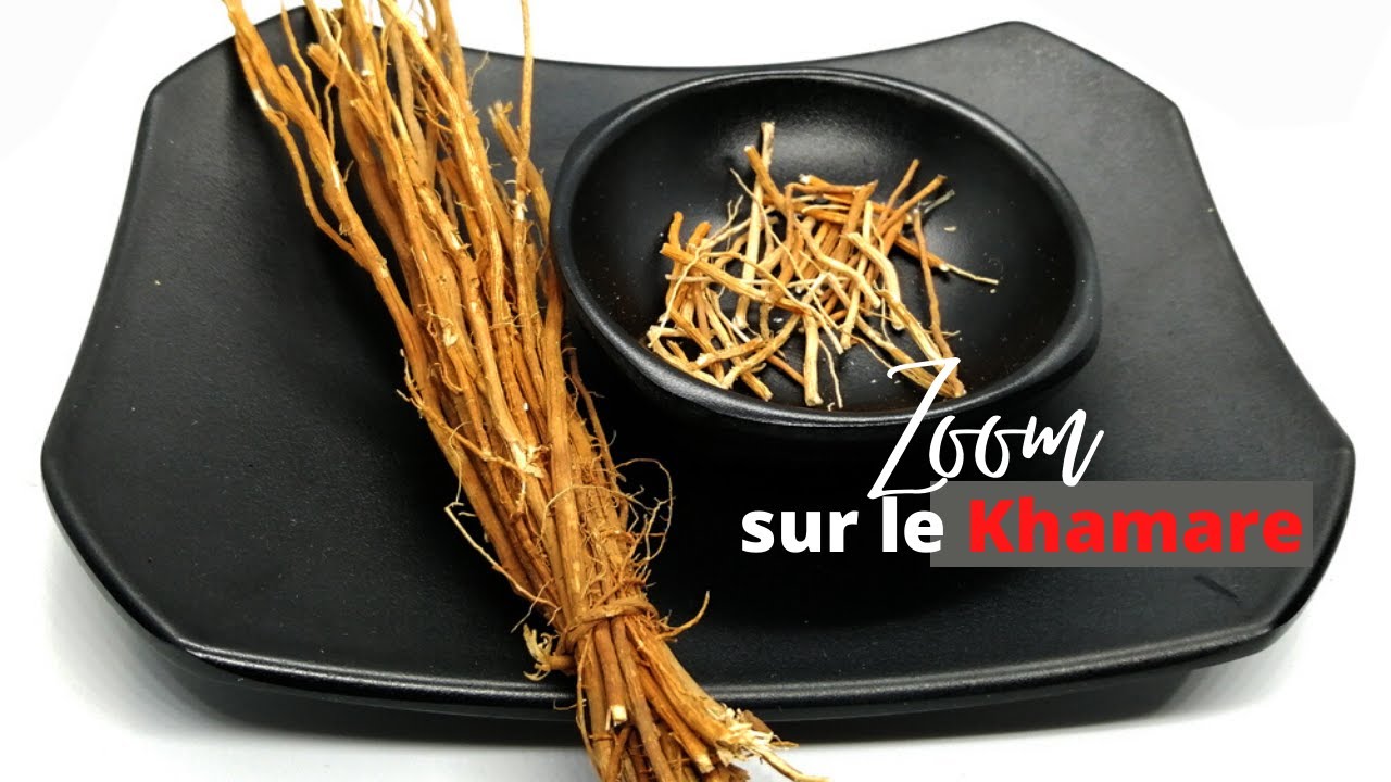 gongoli-v-tiver-khamare-qu-est-ce-que-c-est-que-cette-chose-l