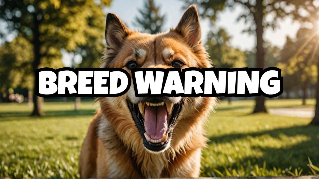 😡Experts Reveal The Top Most Aggressive Dog Breeds😡