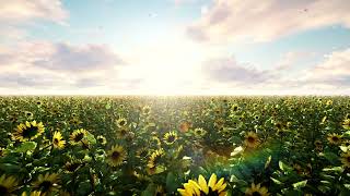 David Finck - A Beautiful Friendship [Full Album Visualizer 4K]