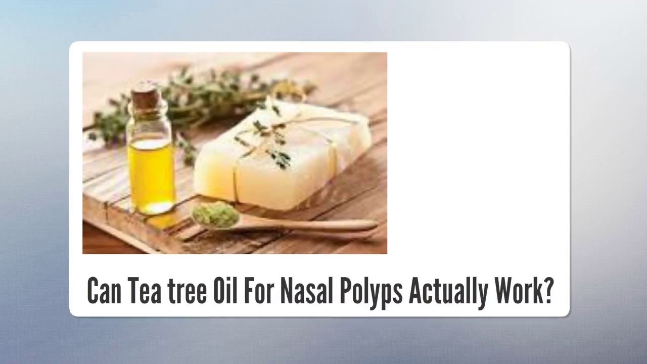 Tea Tree Oil For Nose Polyps Can Tea Tree Oil For Nasal Polyps