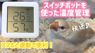 【SwitchBotはただの温度計ではない！】スイッチボットを使ったペットに最適な温度管理方法（文鳥などの小鳥におすすめ）