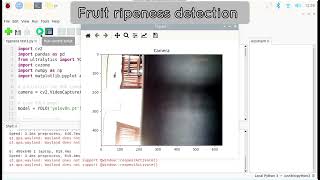 Fruit Ripe detection using Raspberry Pi