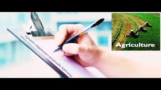 Agricultural commodity Quality Laboratory and Inspection Certificate | AIMGroup