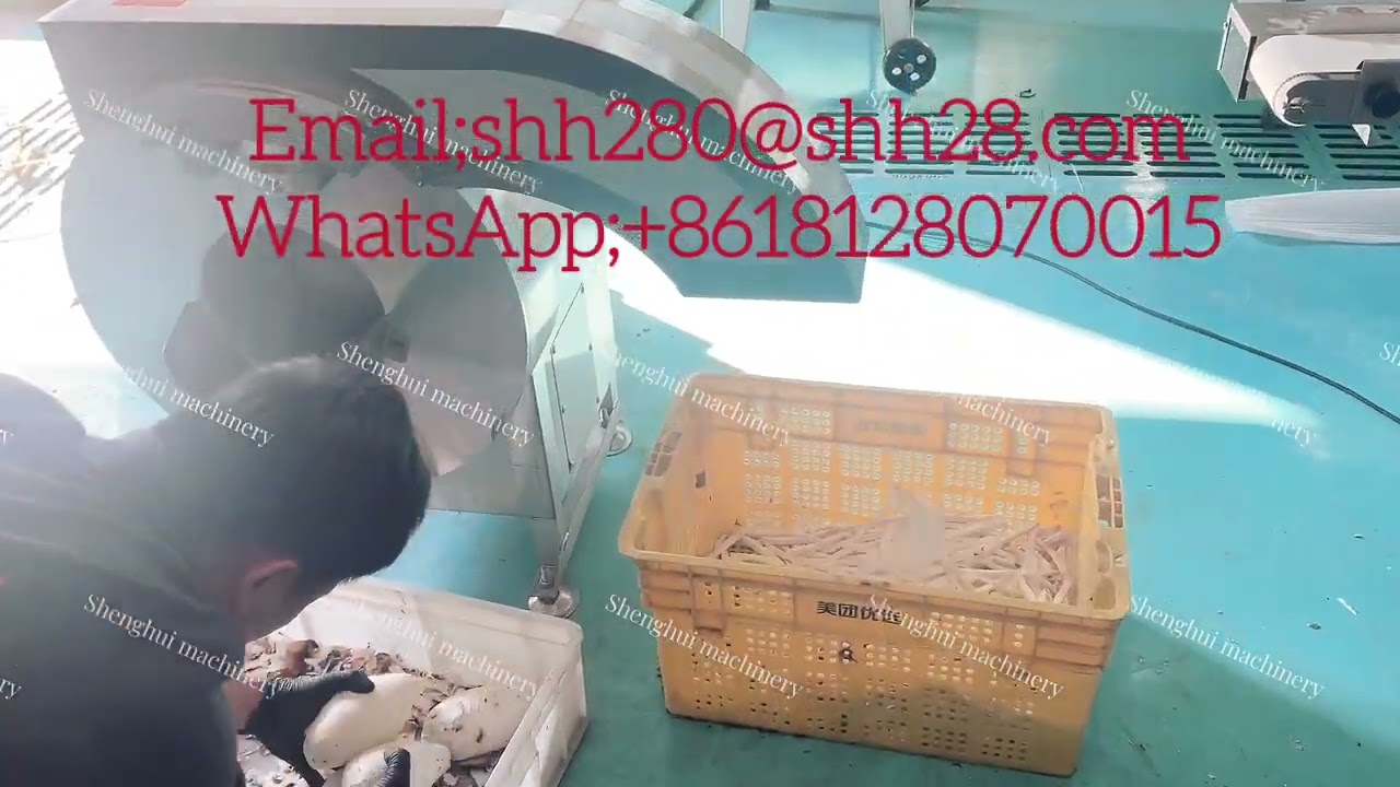 French potato chips cutting machine/ taro shredded cutting machine 