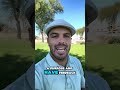 Feedback & Accountability