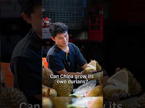 Can China grow its own durians?