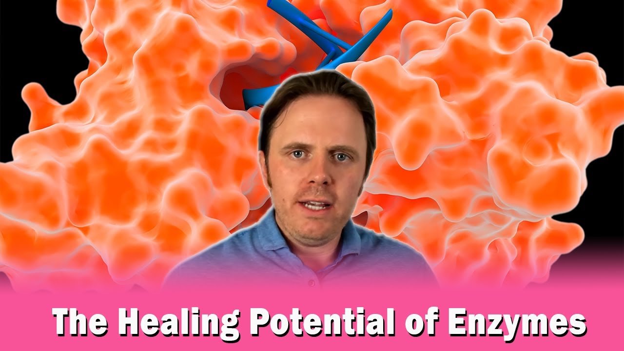 The Healing Potential of Enzymes