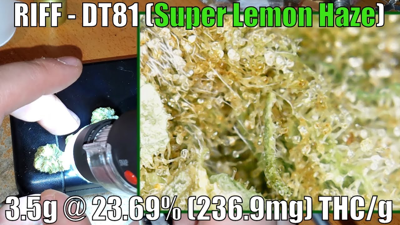 RIFF DT81 (Sativa Dominant) Unboxing Review - 3.5g @ 23.69% THC (+ Extreme Closeups) A Nice Surprise