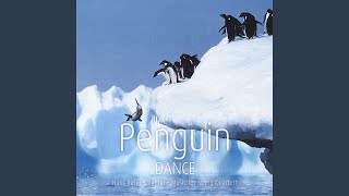 Download Lagu Penguine Dance Download Lagu Penguine Dance