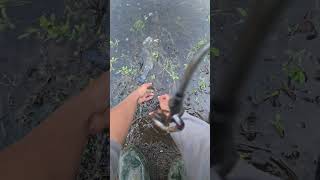 How to fish Stratton brook Trout Park. #fishing #troutfishing #fishingtips