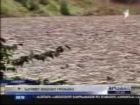 ხის ჭრა სვანეთში