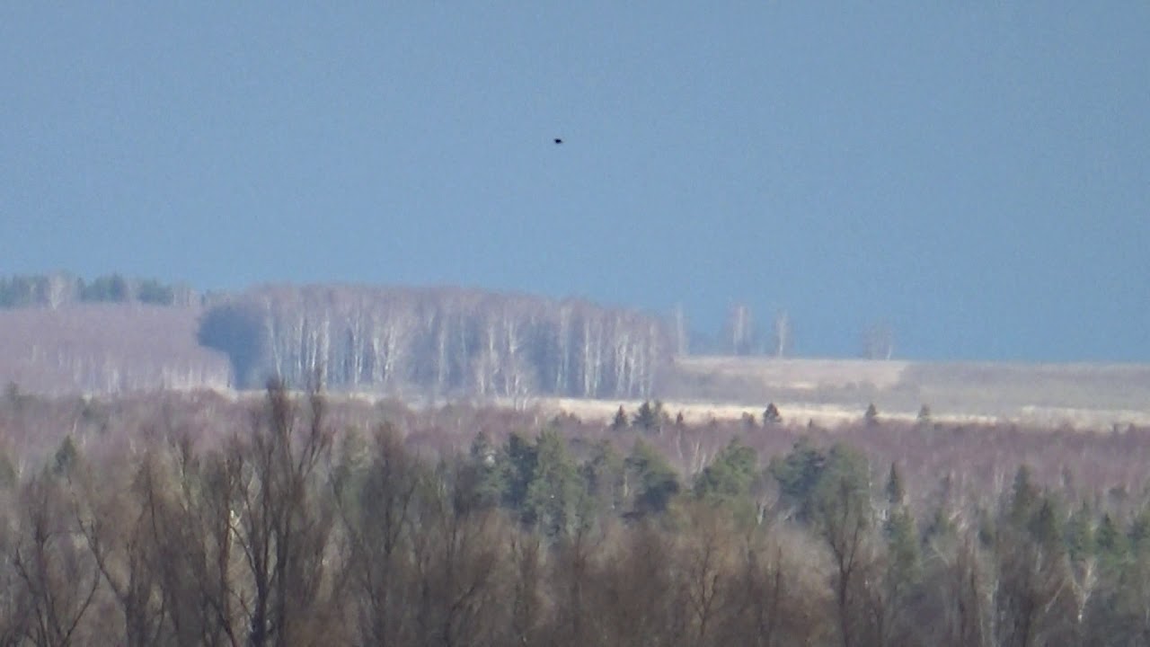 Какшан кундем. Шошо толын Изи Пуялыш