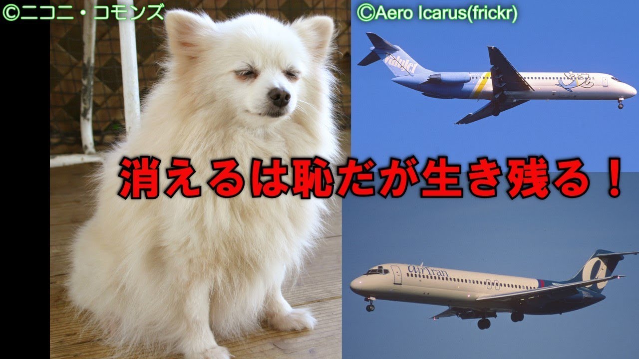 【再アップ】航空会社から学んだこと・バリュージェットから学ぶ無理なコストカットの弊害と末路