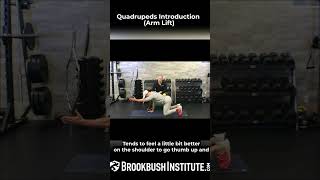 Quadrupeds Introduction (Arm Lift)