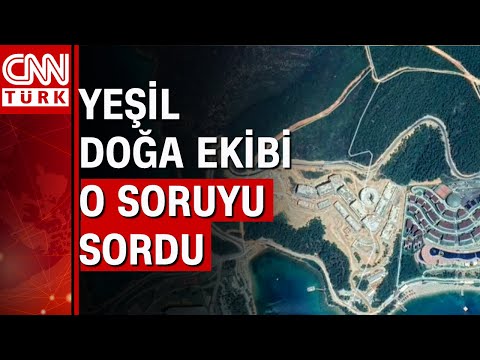 Orman yangınlarında yanan