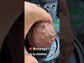 Trompe L œil Sur Alger Pâtisserie 