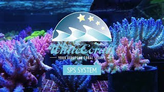 Whitecorals SPS System