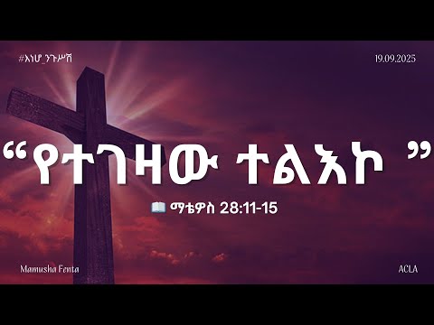 እነሆ ንጉሥሽ የማቴዎስ ወንጌል ትምህርት የተገዛው ተልእኮ ማቴዎስ 28 11 15 በማሙሻ ፈንታ 