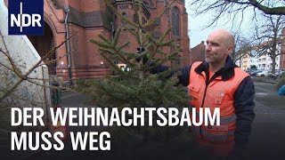 Weihnachtsbäume: Viel Holz für die Müllwerker | Die Nordreportage | NDR Doku