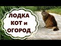 Лодка, Кот,  Огород и Скворечник