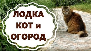 Лодка, Кот, Огород и Скворечник Лодка, Кот, Огород и Скворечник