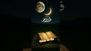 وَلَآ أَقُولُ إِنِّي مَلَكࣱ🌹سورہ ھود🌹عبدالباسط عبدالصمد🌹shorts🌹 screenshot 5