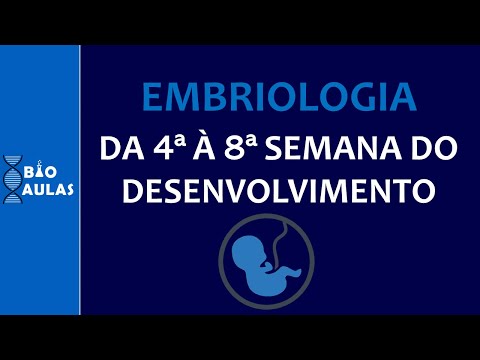 Vídeo: Durante o desenvolvimento embrionário qual das seguintes vesículas cerebrais?