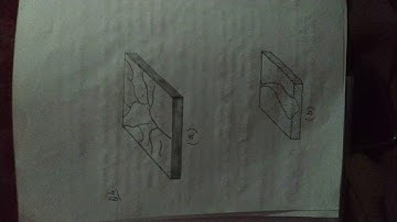 ENVIRONMENTAL SCIENCE-333 TMA NIOS CLASS 12 2018-19