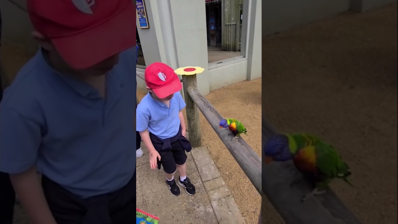 Exploring Drusillas Zoo Park 🙉 with Lingfield College Prep ☀️