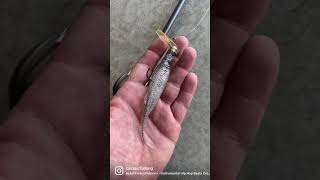 Jerky J on a Stagger Scrounger Head‼️ Both on the website! 👊 #fishing #bassfishing #shorts Profile