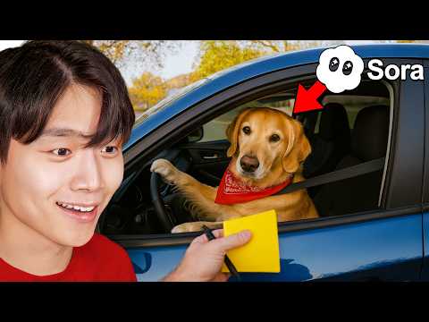 IMPOSSIBLE Try Not To Laugh Challenge