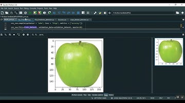 Detection of Apple Plant Diseases Using Leaf Images Through Convolutional Neural Network