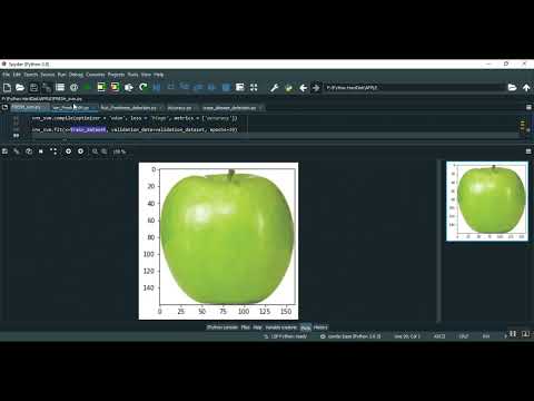 Detection of Apple Plant Diseases Using Leaf Images Through Convolutional Neural Network