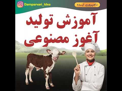 روش ساخت آغوز مصنوعی