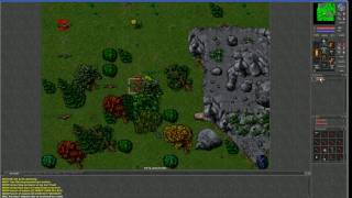 Dragon corpse quest Tibia