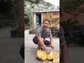 Trái mít chín #lanatrinh #funny #shortsvideo