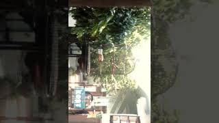 Sogok ontong nembak gacor !!!