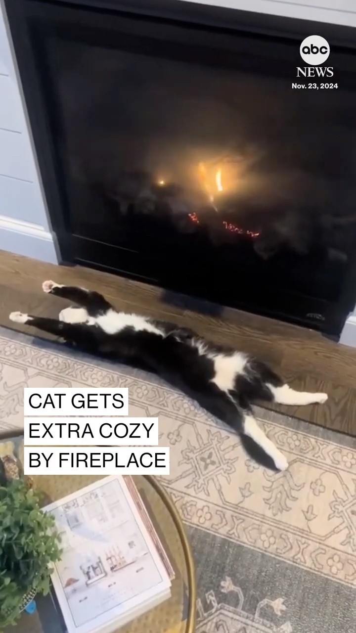 Cat gets extra cozy by fireplace