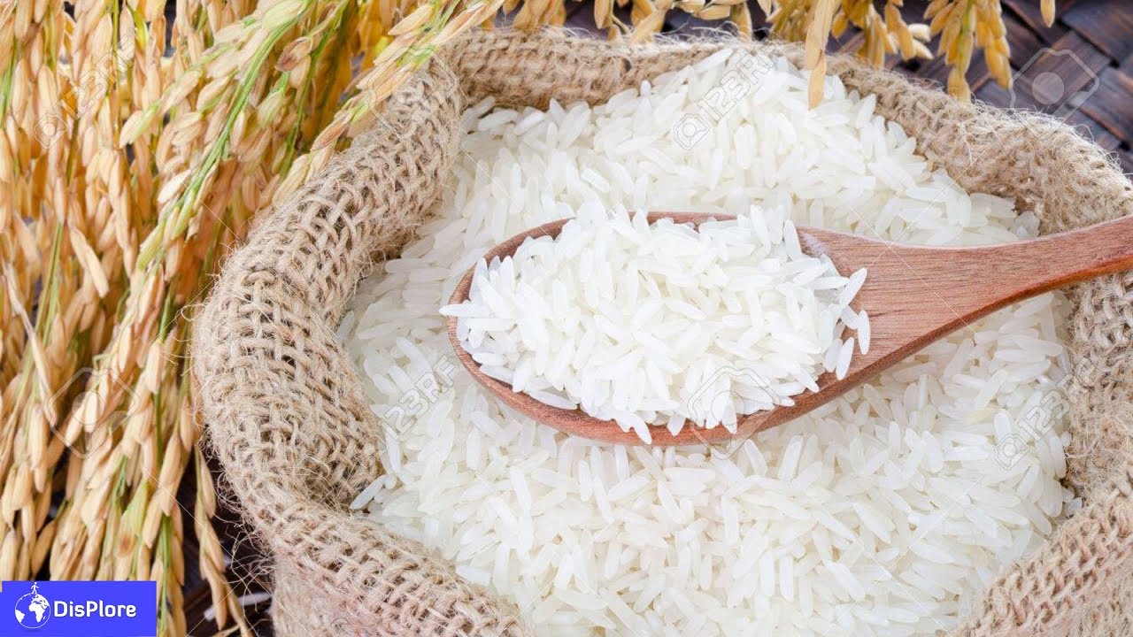 Rice 10. Рис Падди. Белый рис.