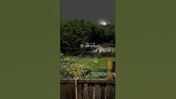 قمة الخشوع تلاوة خيالية الشيخ ماهر المعيقلي (ياليتها كانت القاضية مااغنى عني ماليه@ #quran #اكسبلور